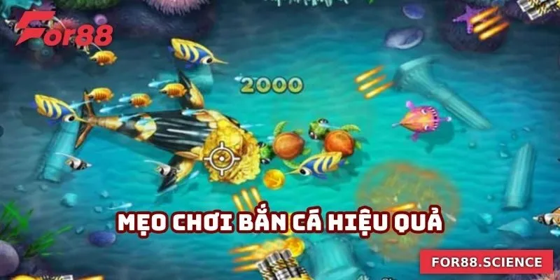 Mẹo Chơi Bắn Cá Thu Về Hàng Tỷ Lợi Nhuận Mỗi Ngày Cho Bạn Mẹo Chơi Bắn Cá Thu Về Hàng Tỷ Lợi Nhuận Mỗi Ngày Cho Bạn